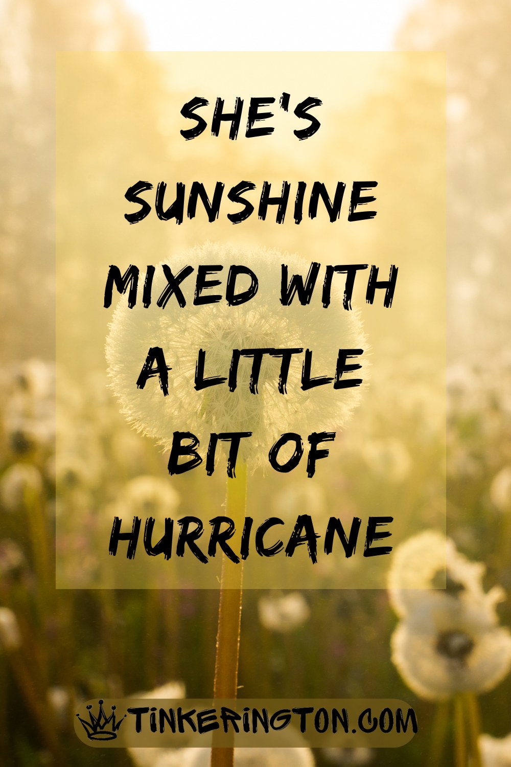 Sunshine mixed with a little hurricane Sunshine mixed with a little hurricane